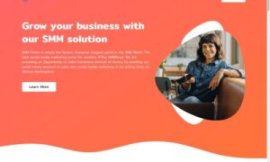 Smm pannel PHP Script 02